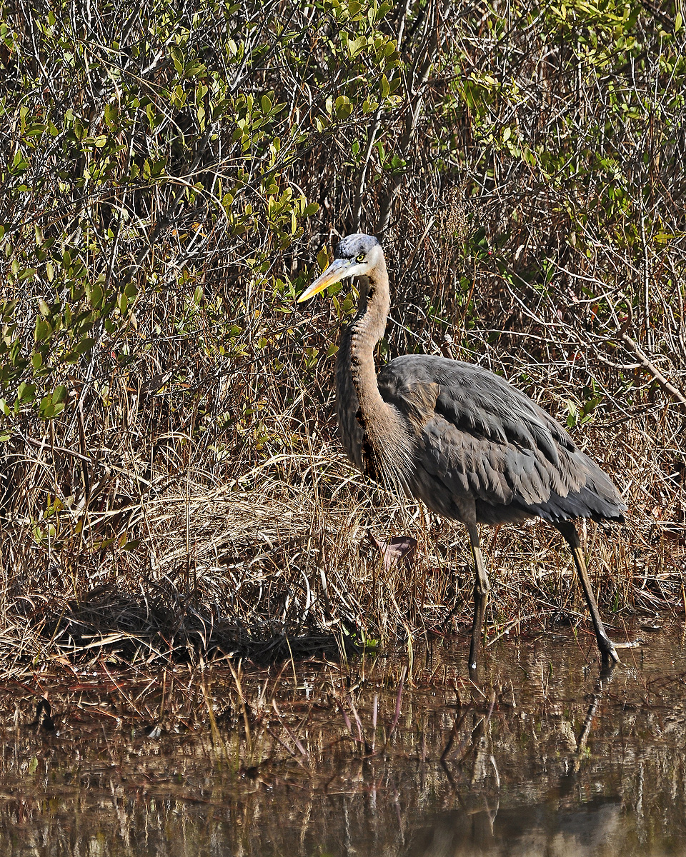_DSC2744.jpg