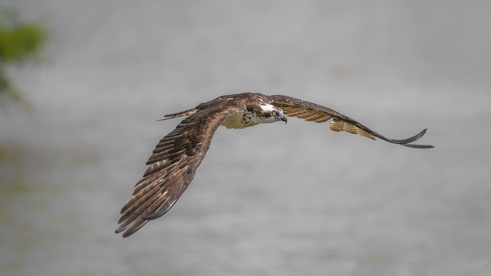 _DSC2789-Edit.jpg