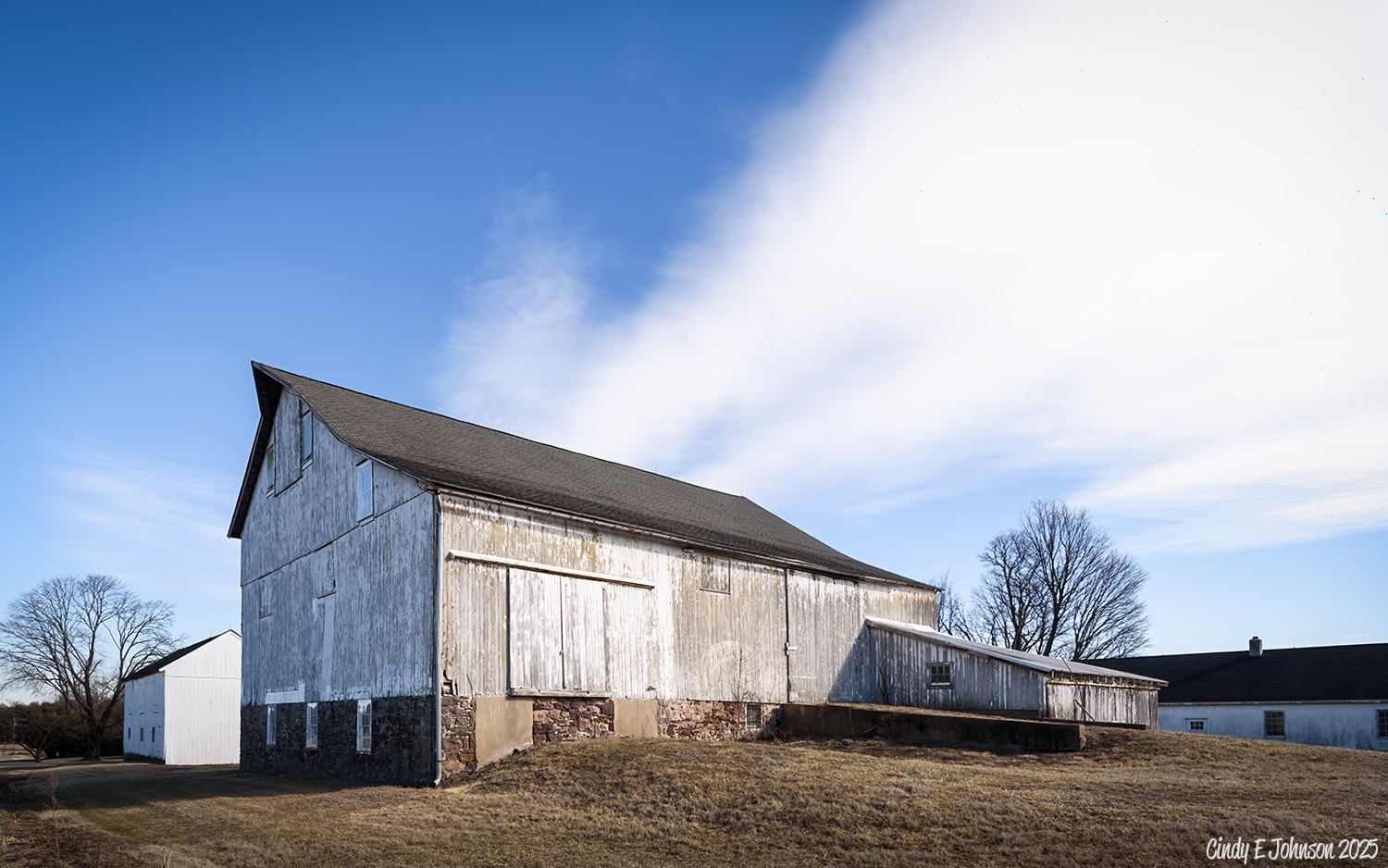 _DSC2914 low res.jpg