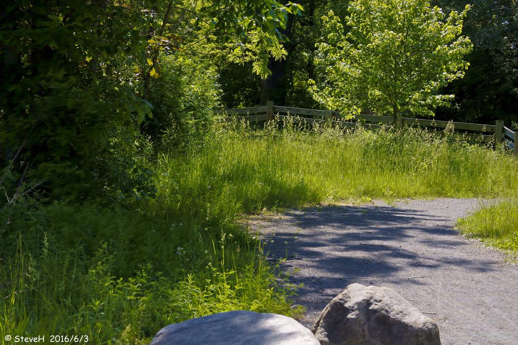 _DSC2929.jpg