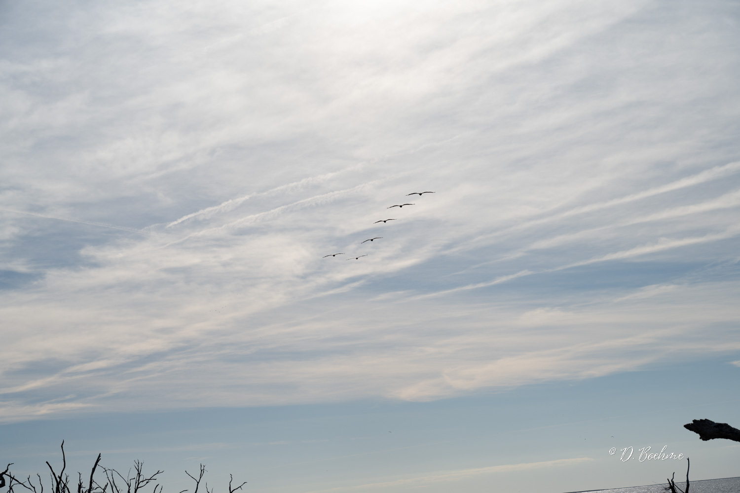 _DSC2946.jpg