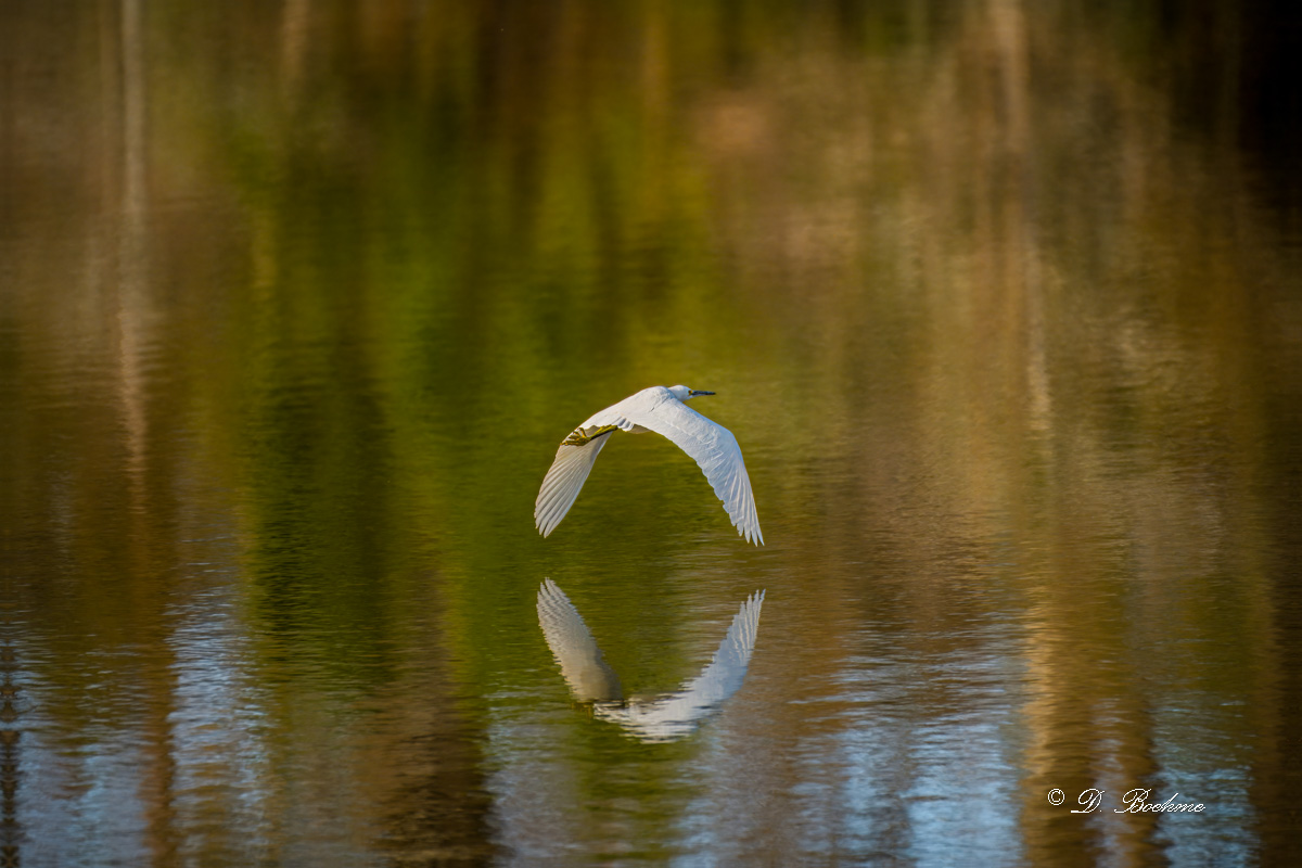 _DSC2968-topaz-rawdenoise-sharpen-lighting.jpg