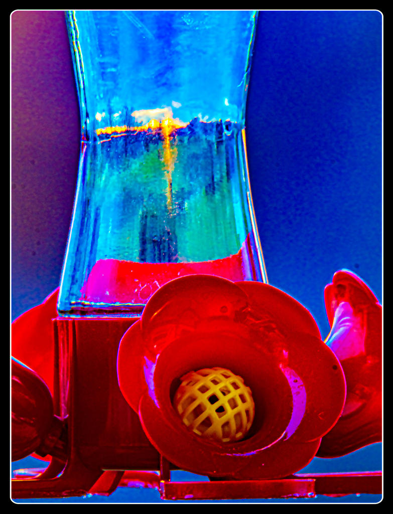 _DSC3000-Edit.jpg