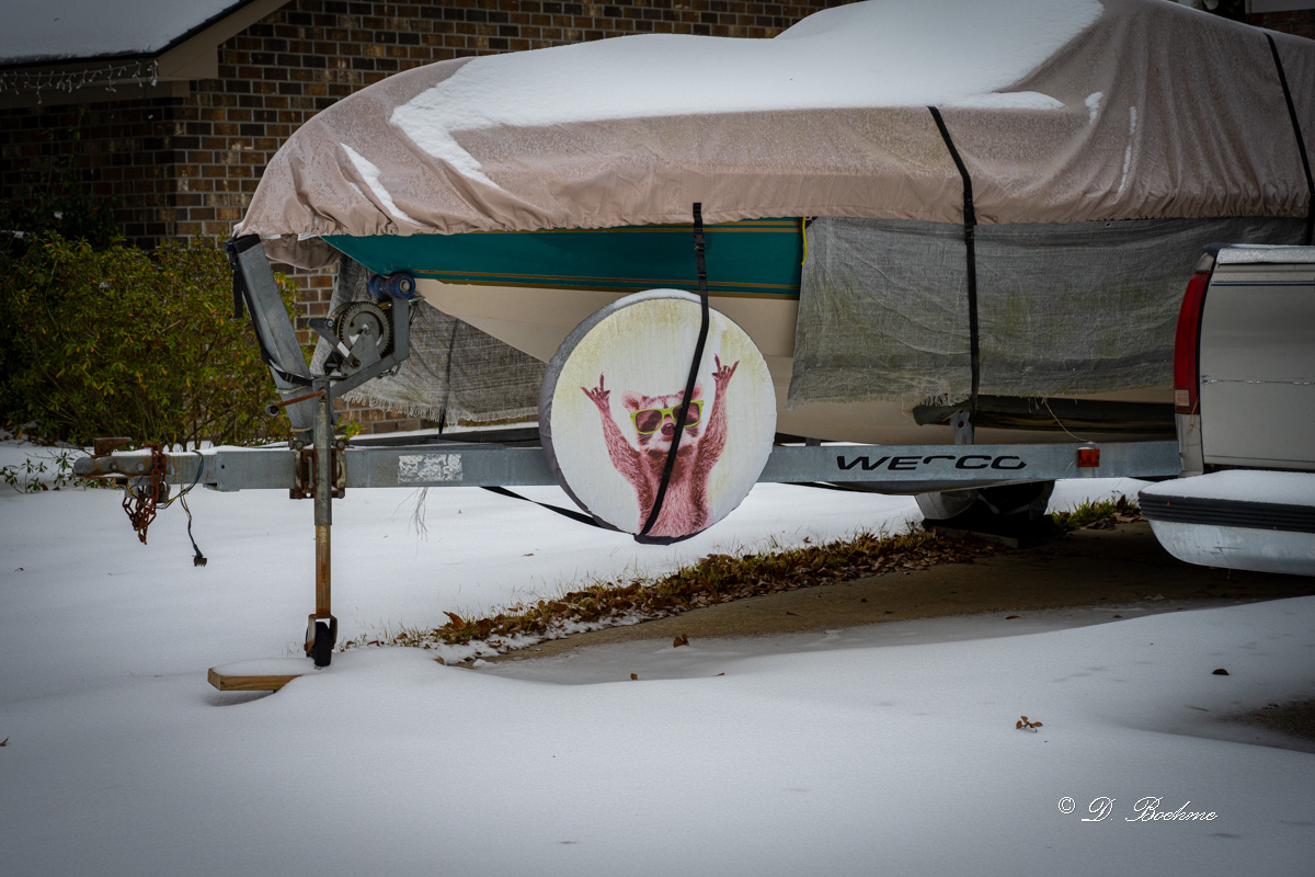 _DSC3001.jpg