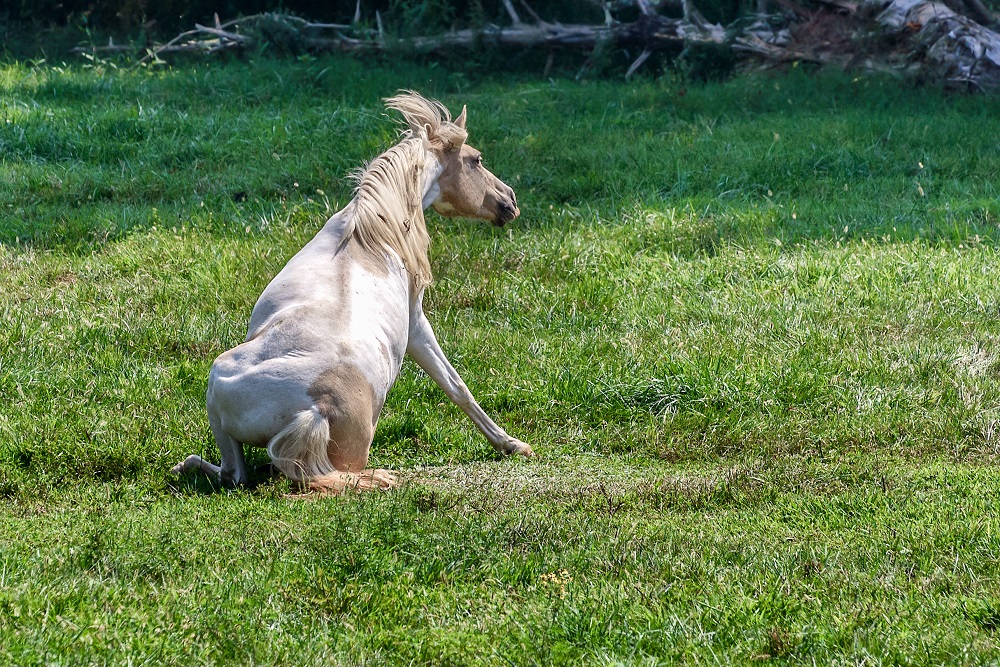 _DSC3092-Edit-2.jpg