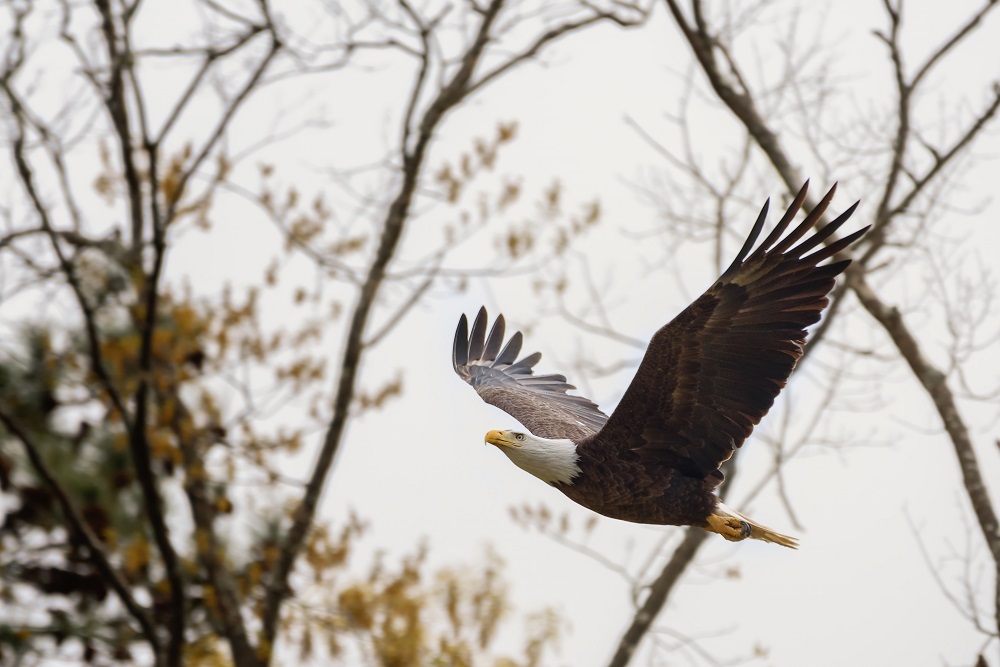 _DSC3153-Edit.jpg