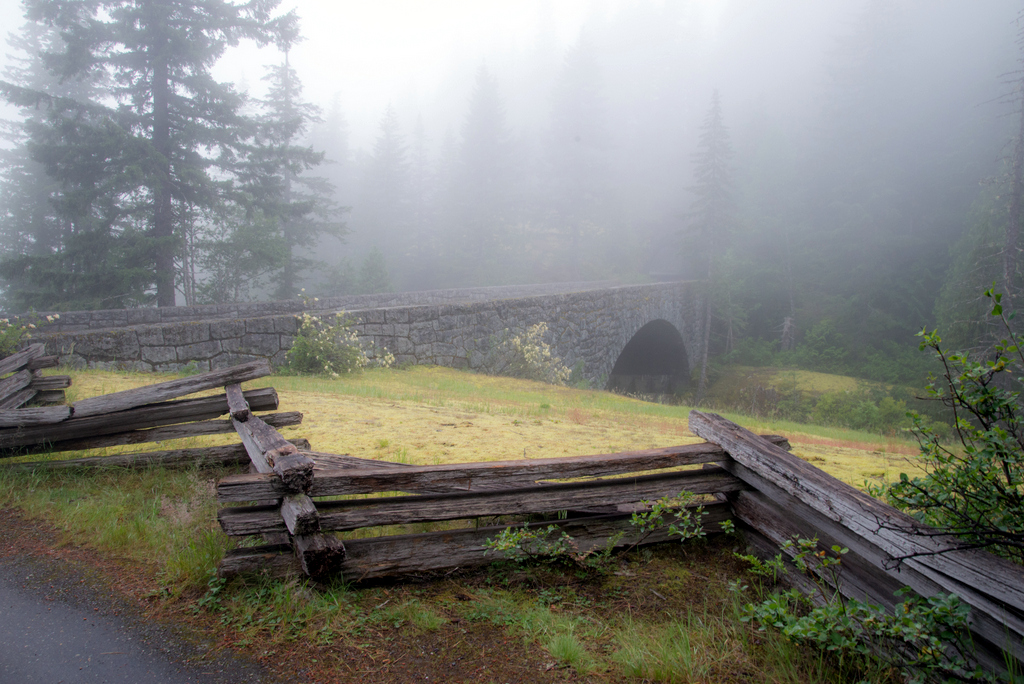 _DSC3156.jpg