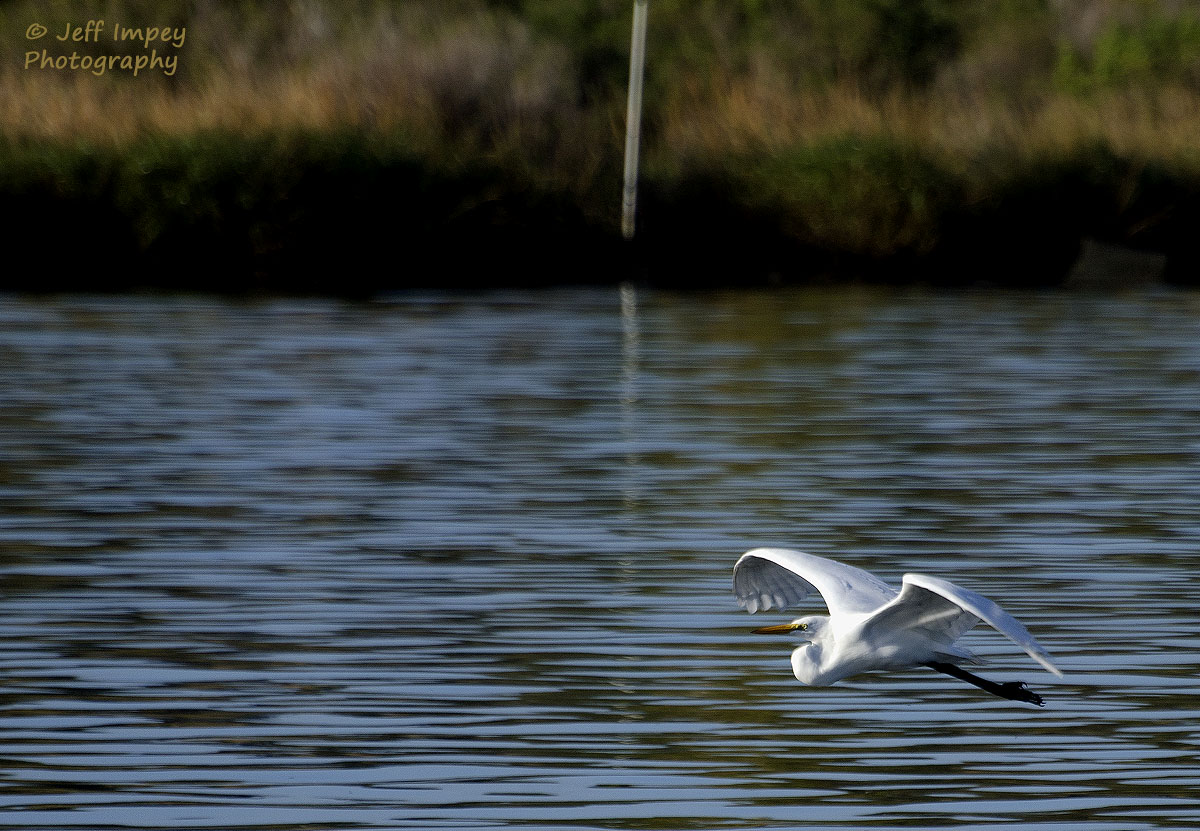 _DSC3157_2.jpg