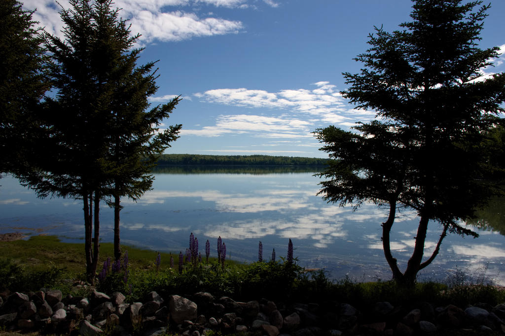 _DSC3253.jpg