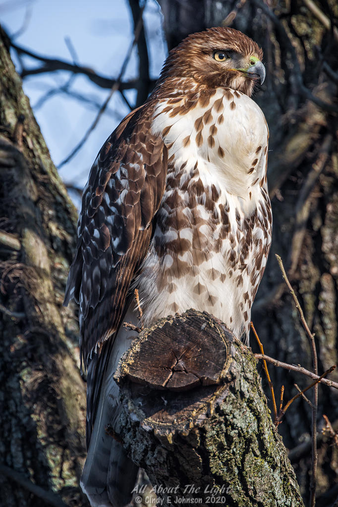 _DSC3265 low res.jpg