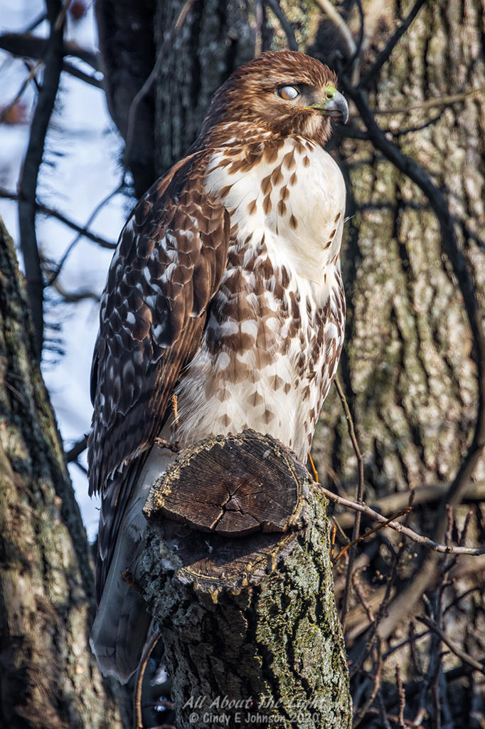 _DSC3280 low res.jpg