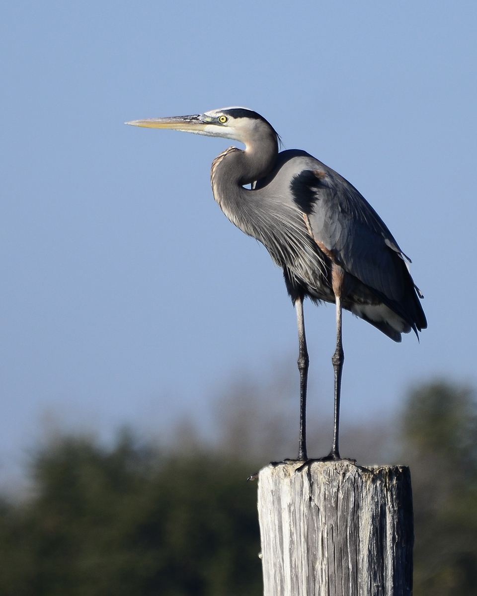 _DSC3285.jpg
