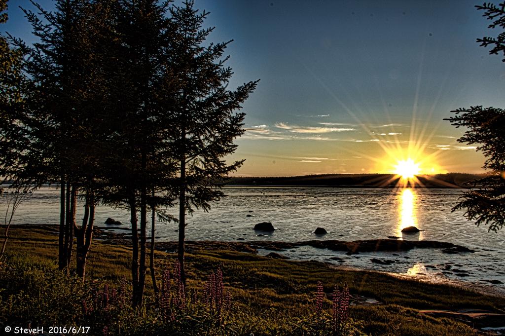 _DSC3286-1rs.jpg
