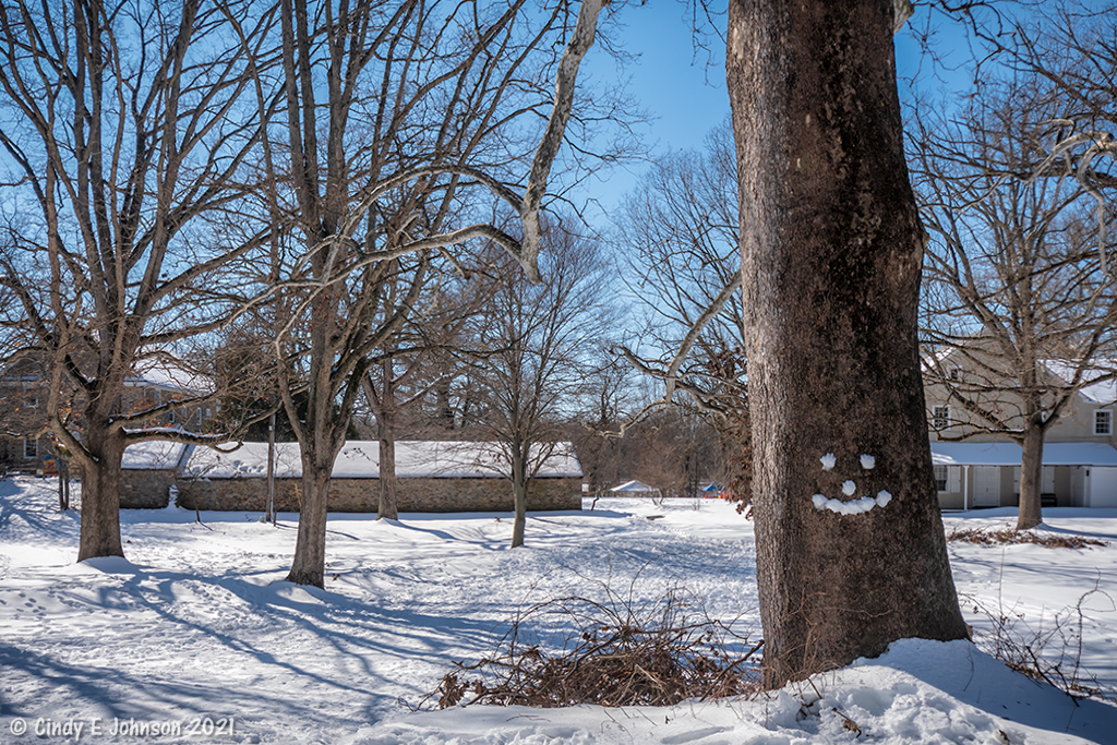 _DSC3315 low res.jpg