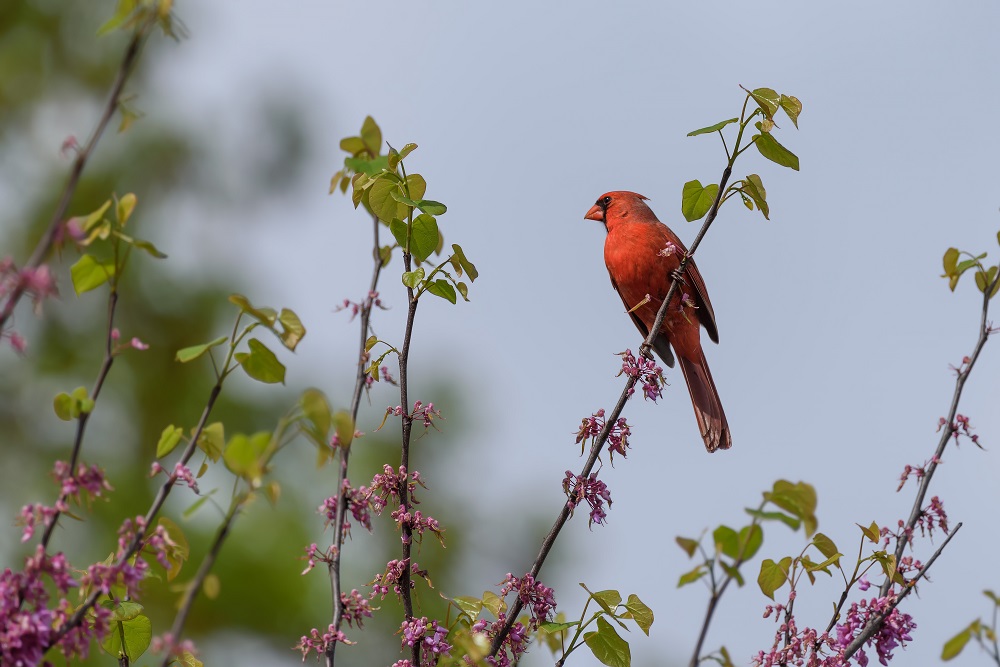 _DSC3372-Edit.jpg