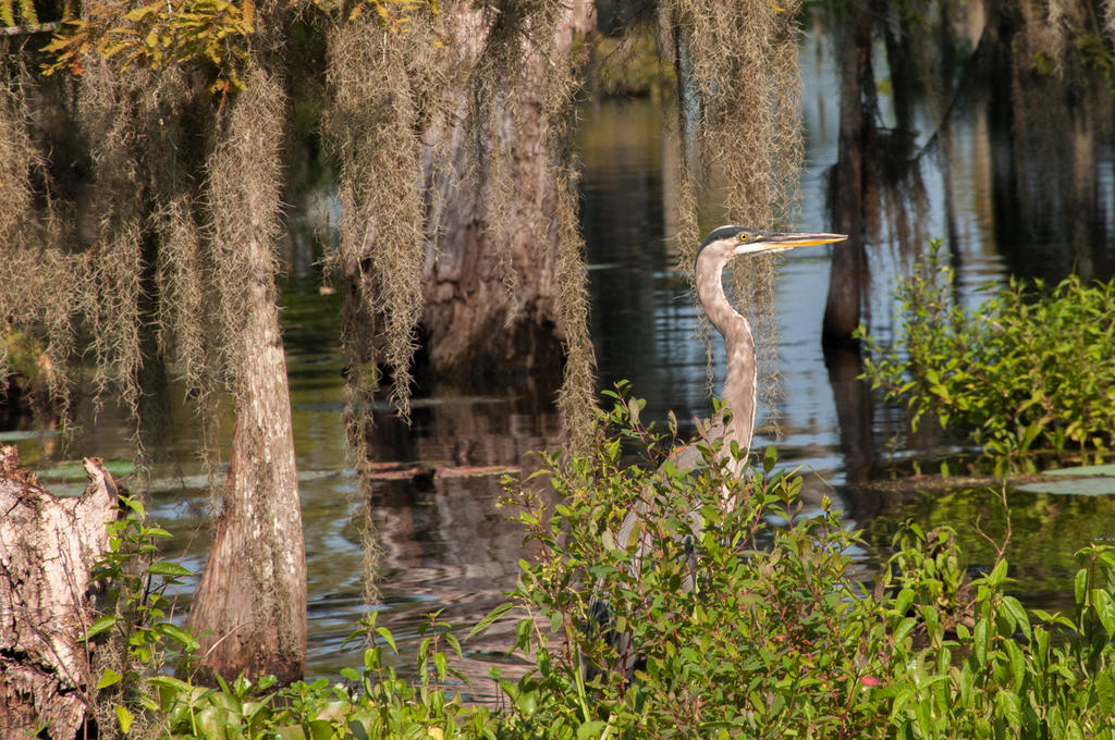 _DSC3386.jpg