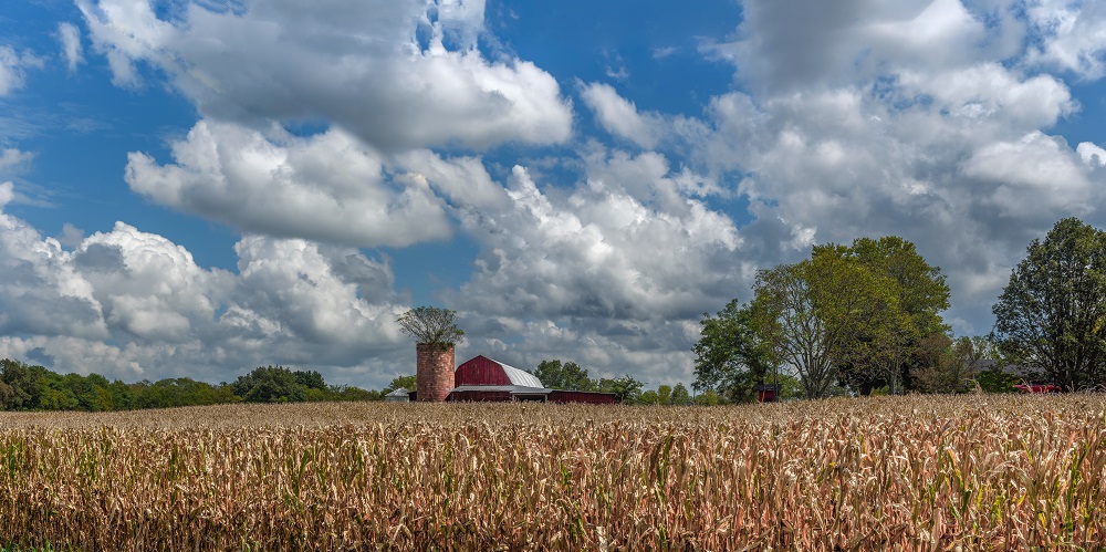 _DSC3396_stitch.jpg