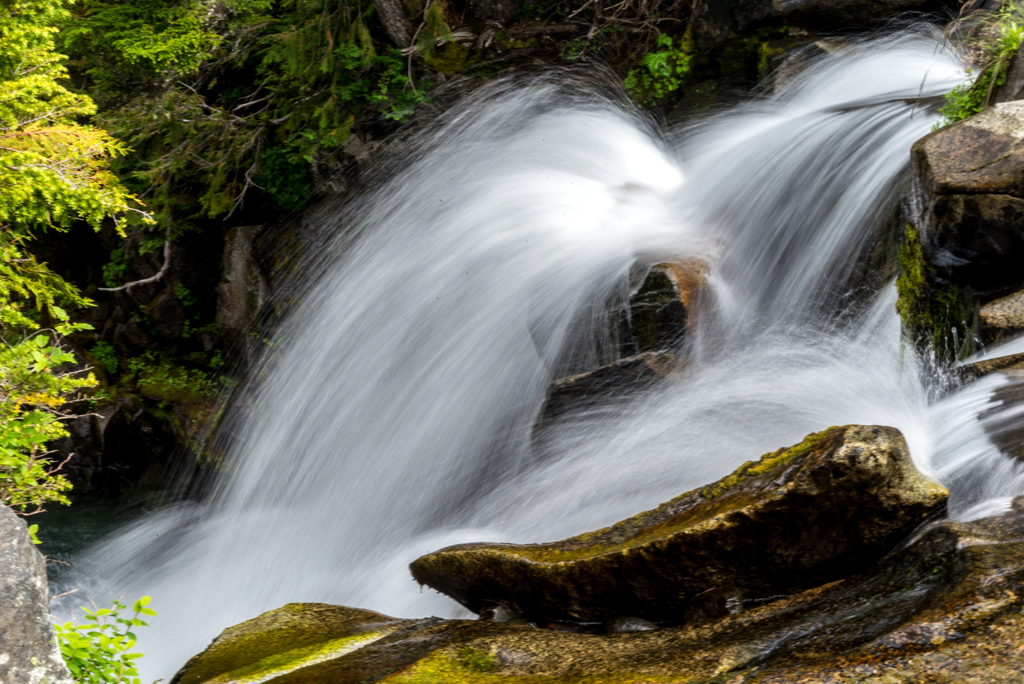_DSC3436.jpg