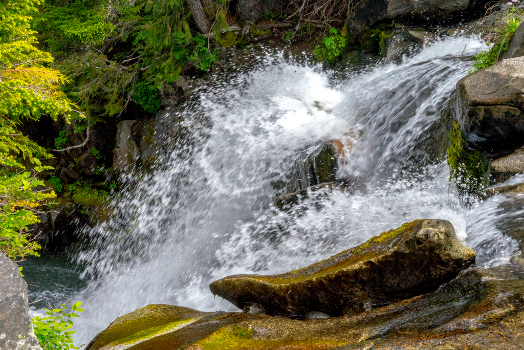 _DSC3437.jpg