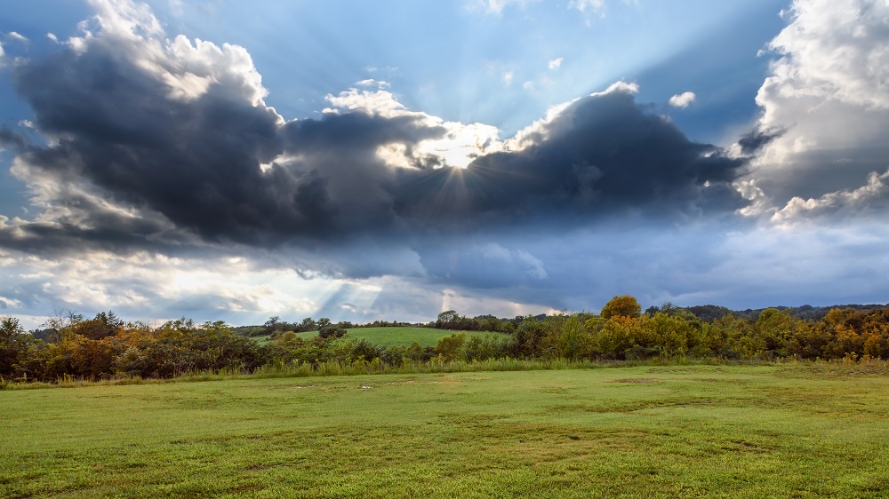 _DSC3440-Edit.jpg