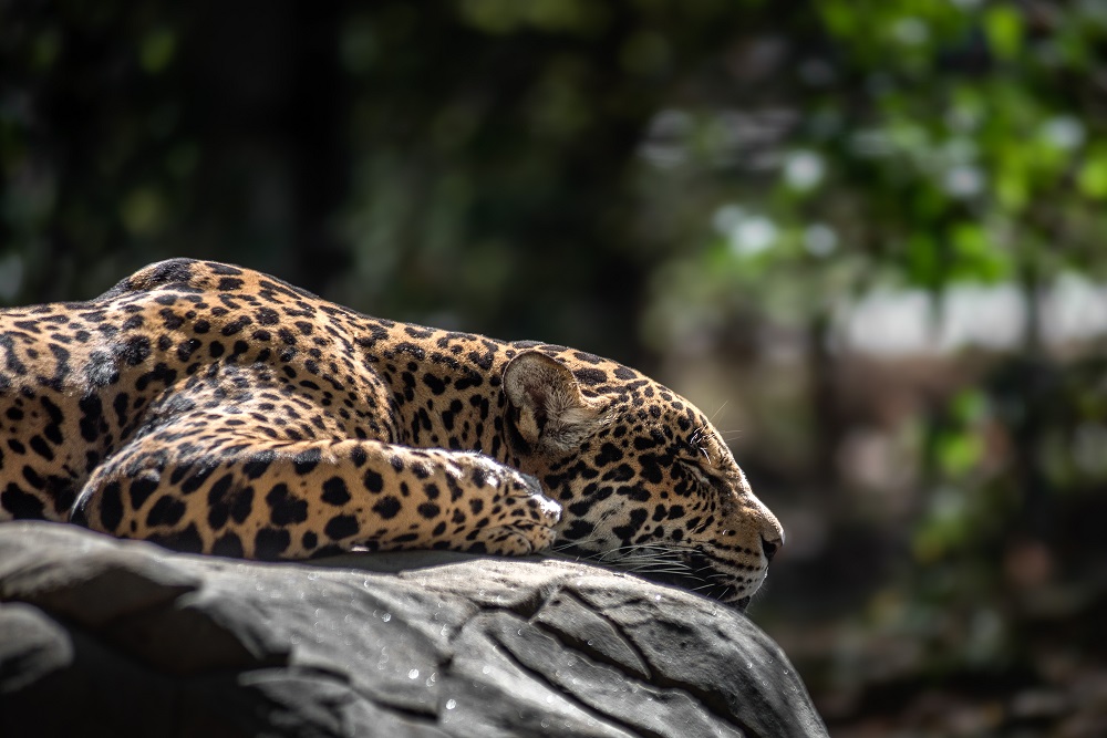 _DSC3455-Edit.jpg