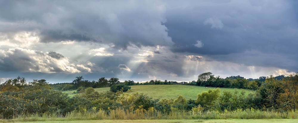 _DSC3456_stitch-Edit-Edit.jpg