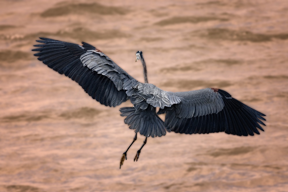 _DSC3474-Edit.jpg