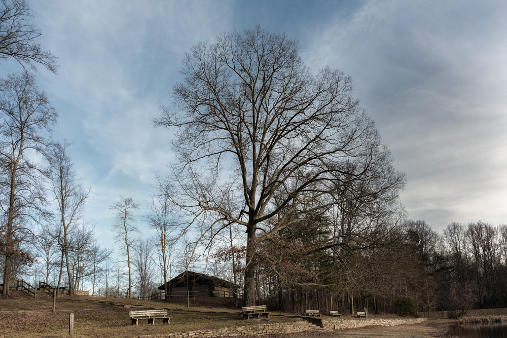 _DSC3488-Edit.jpg