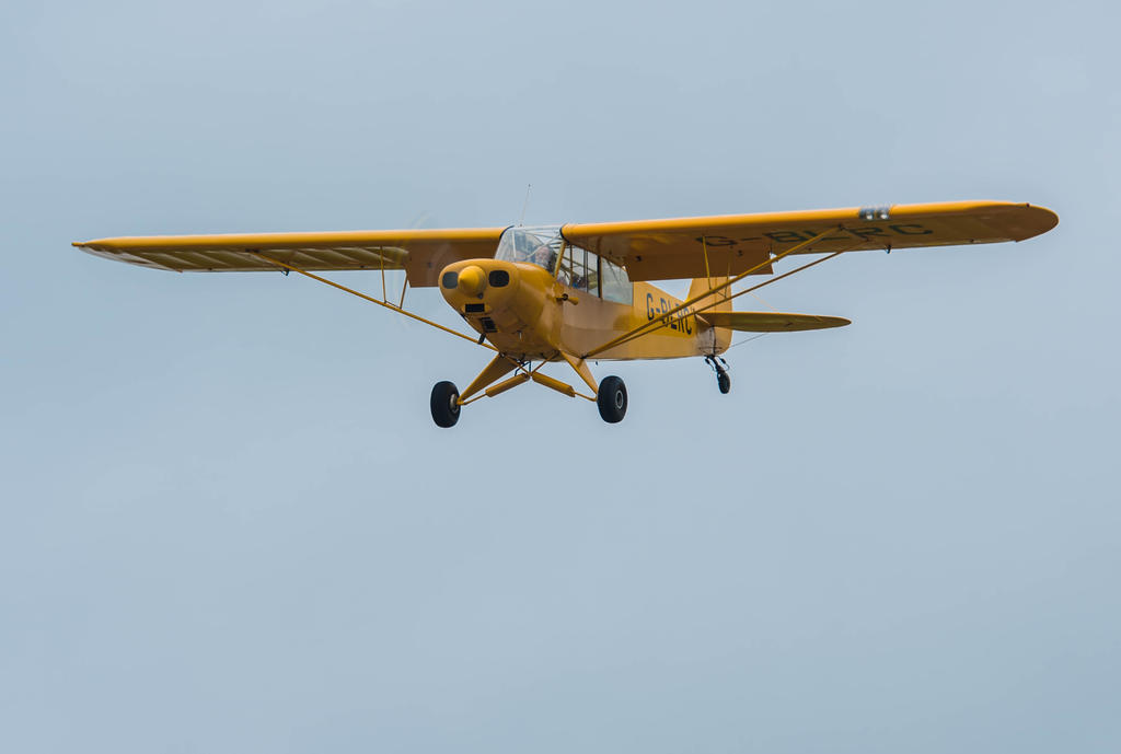 _DSC3508.jpg