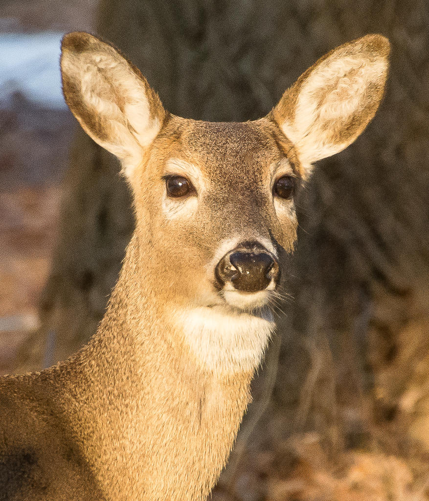 _DSC3548.jpg