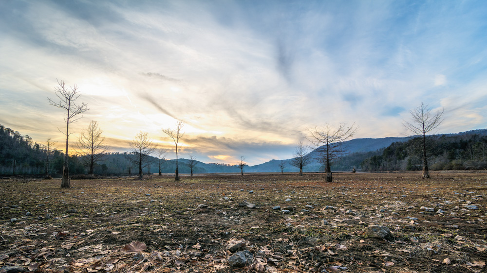 _DSC3576-Edit-2-2.jpg