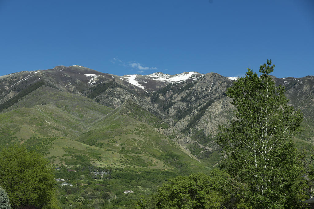 _DSC3588.jpg