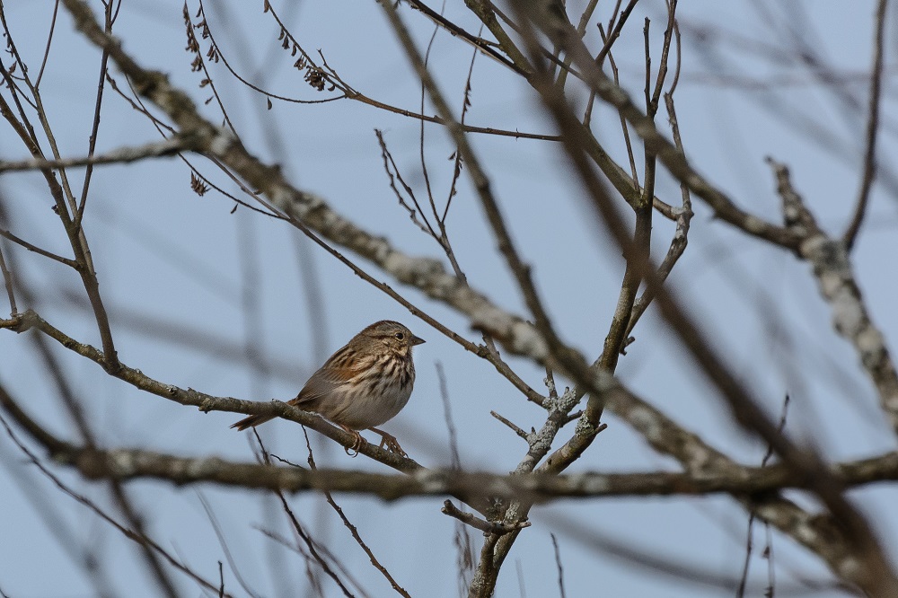 _DSC3612-Edit.jpg