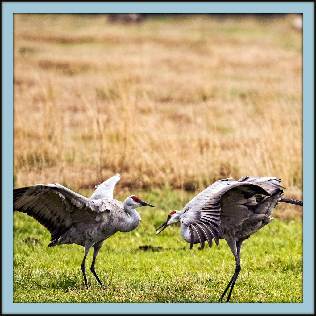 _DSC3684-Edit.jpg