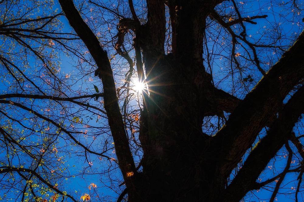 _DSC3718-Edit.jpg
