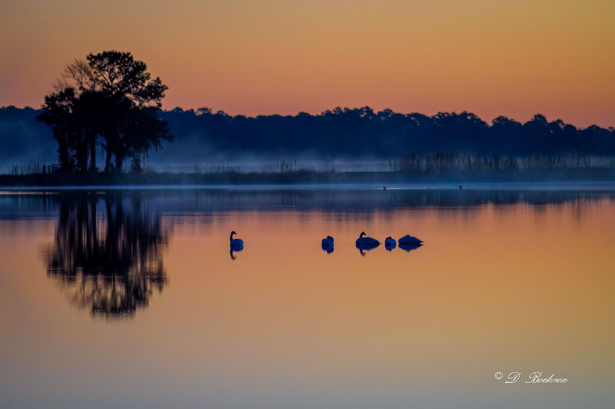 _DSC3817-DeNoiseAI-low-light.jpg