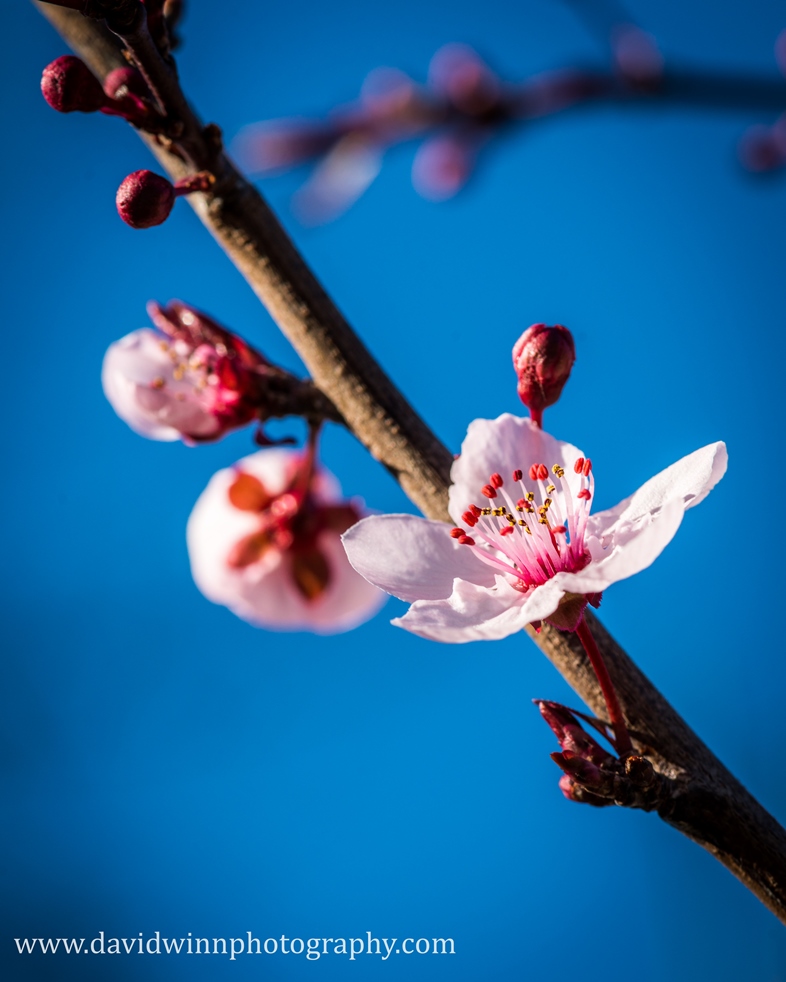_DSC3839-7-sm.jpg