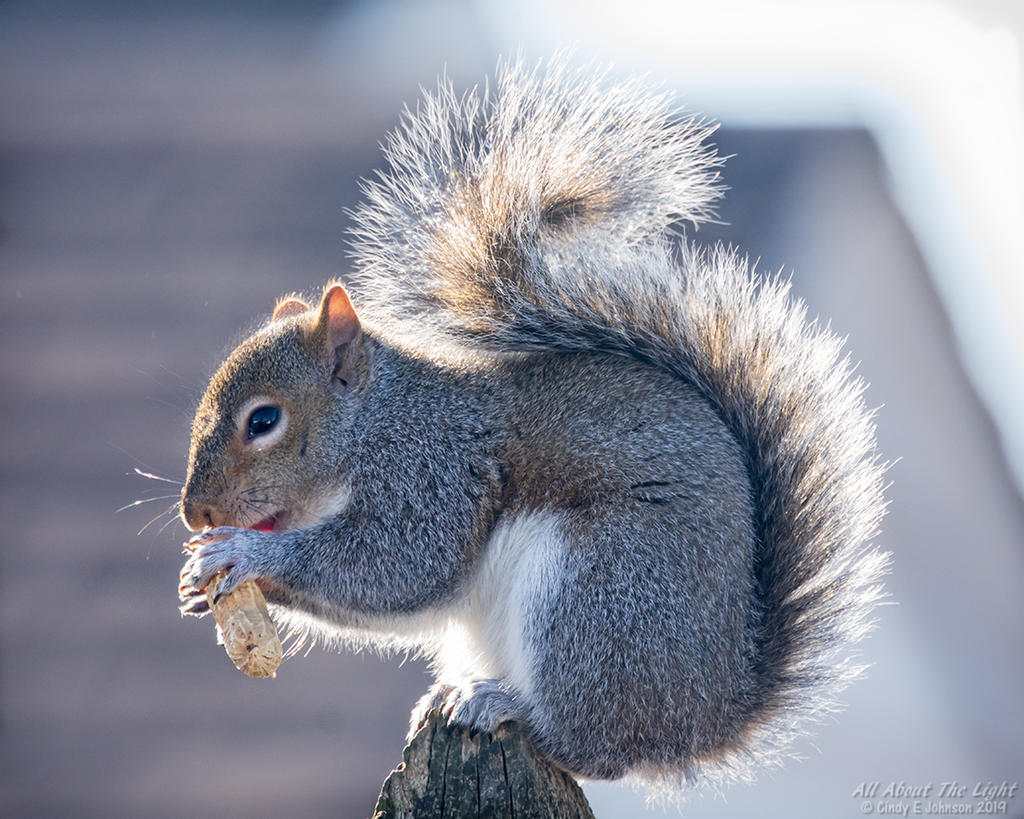 _DSC3843 low res.jpg