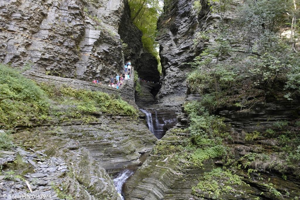 _DSC3864.jpg