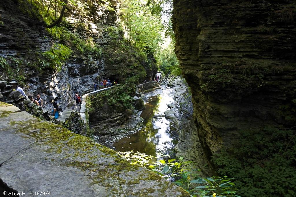 _DSC3879.jpg