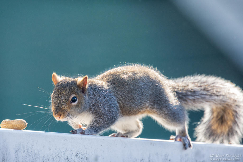 _DSC3879 low res.jpg _DSC3879 low res.jpg