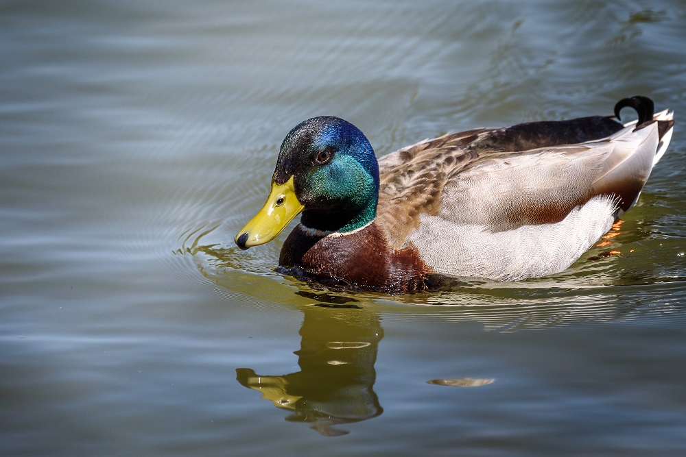 _DSC3886-Edit.jpg