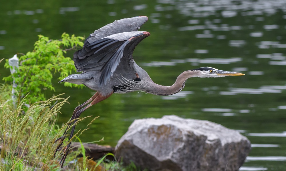 _DSC3891-Edit-2.jpg