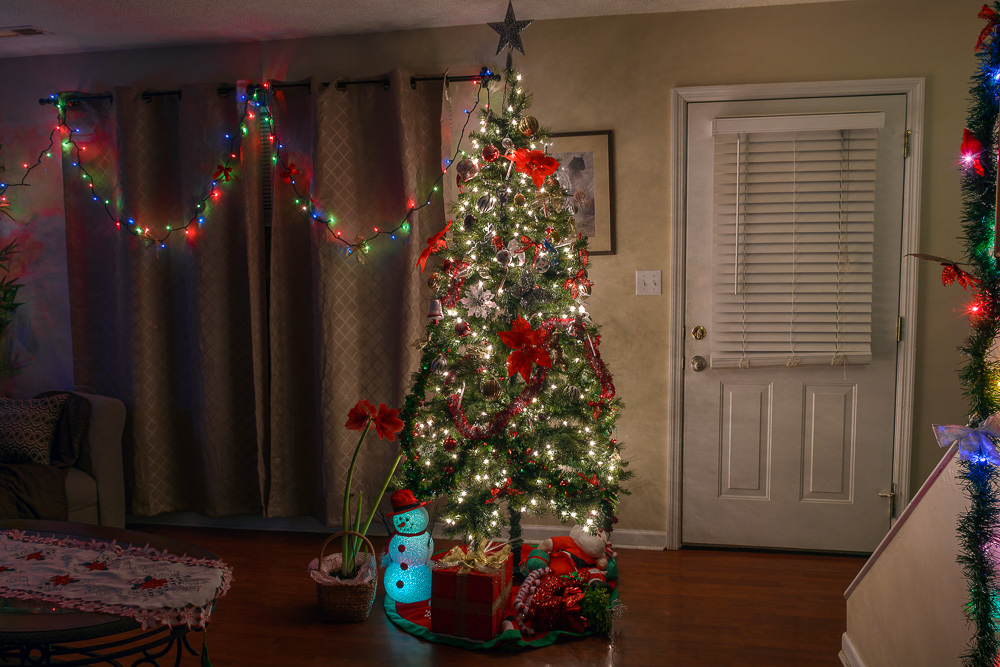_DSC3945-Edit.jpg