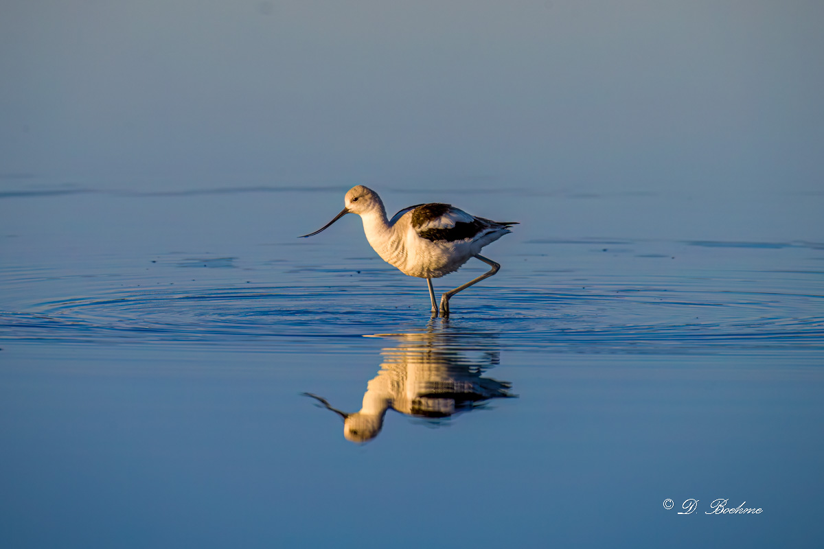 _DSC3963-DeNoiseAI-low-light.jpg