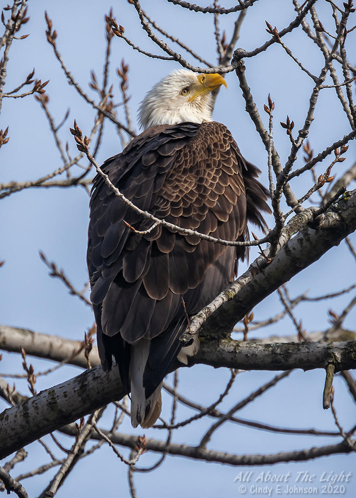 _DSC3973 low res.jpg