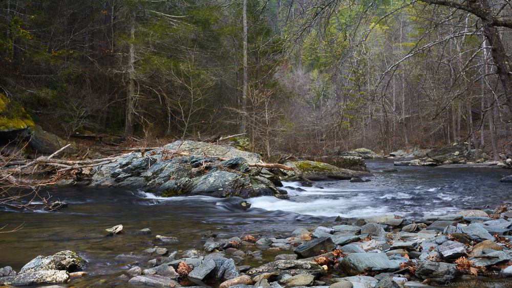 _DSC4000-Edit-2.jpg