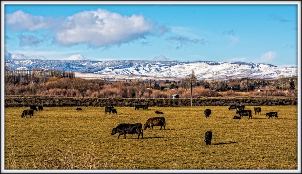 _DSC4025 copy.jpg