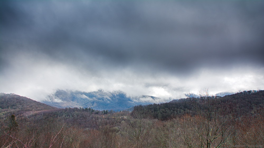 _DSC4035_.jpg