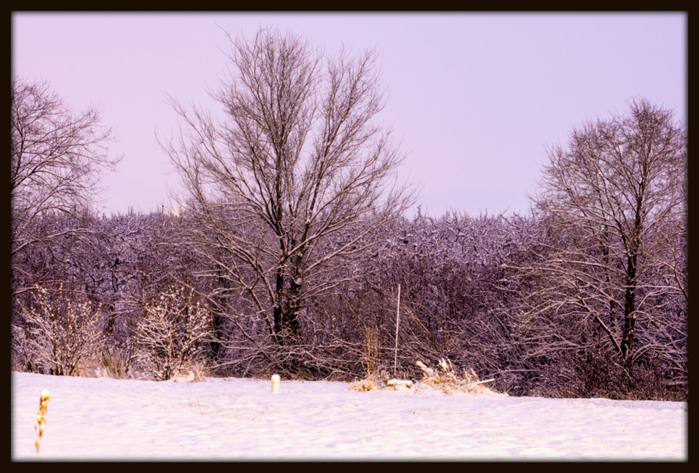 _DSC4046.jpg